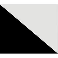 Black and Silver (Bloch)
