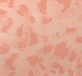 Leopard Pink (Bloch)