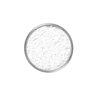 Energetiks Kryolan Translucent Powder;