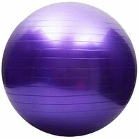 Mad Ally 65cm Exercise Ball Purple