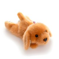 Blossom Buddies Golden Retriever