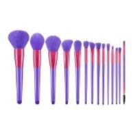 Make Up Brush 10 Piece - Purple and Pink