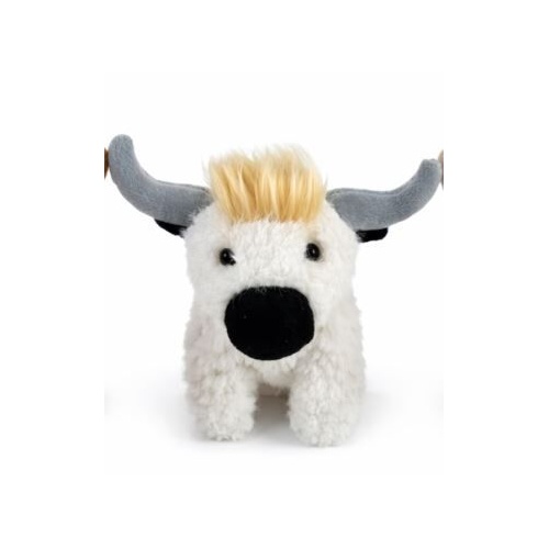 Angus the Highland Cow; White