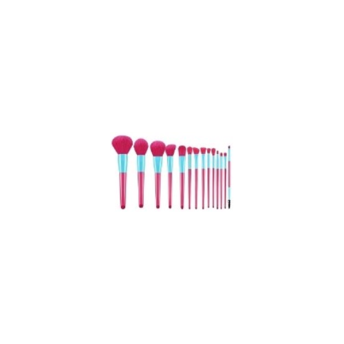Make Up Brush 10 Piece - Pink and Blue